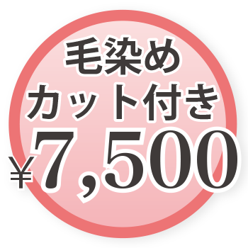 毛染め（カット付き） ¥7,000